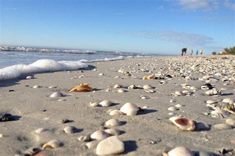 indian rocks beach st petersburg clearwater attractions review