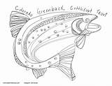 Trout Coloring Cutthroat sketch template