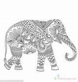 Kolorowanki Terapeutyczne Millie Elefant Marotta Ausmalbilder Druku Erwachsene Dla Kolorowanka Coloriage Mindfulness Zentangle Wydrukowania Mandala Elephants Sheets sketch template