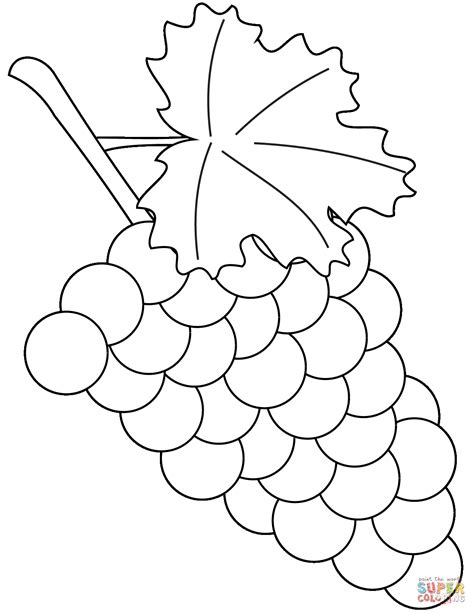 grapes coloring page  printable coloring pages  printable