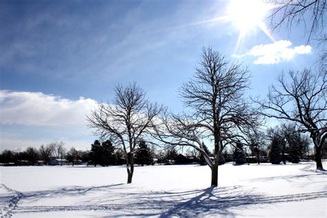 kostenlose bild sonniger tag sonnenschein winter schnee