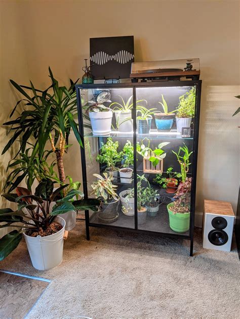 diy greenhouse cabinet  finished building  ikea greenhouse