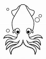 Squid Coloring Pages Printable Museprintables Outline Kids Animal Print Sheets Giant Octopus Templates sketch template