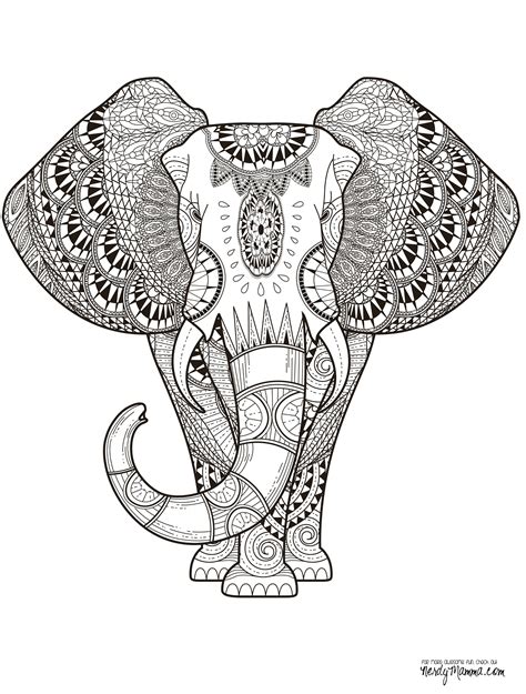 final elephant adult coloring pagejpg  color  world