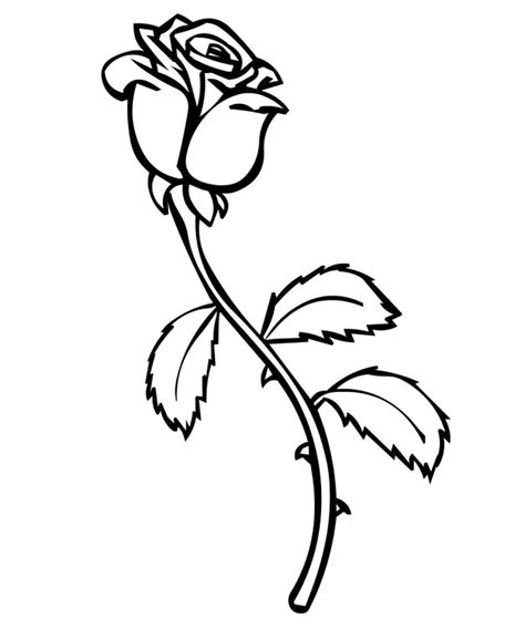 printable roses coloring pages  kids