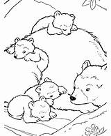 Coloring Pages Bear Kids Bears Grizzly Polar Color Colouring Printable Animal Animals Sheet Sheets Print Wild Cartoon Clipart American Zoo sketch template