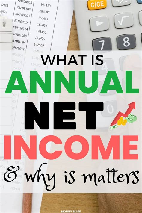 annual net income calculation sources  definition money bliss