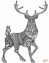 Coloring Deer Pages Zentangle Template sketch template