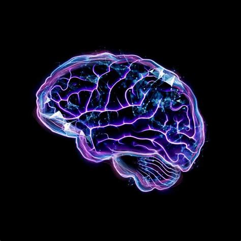premium photo  image   human brain imagenes del cerebro ilustracion del cerebro