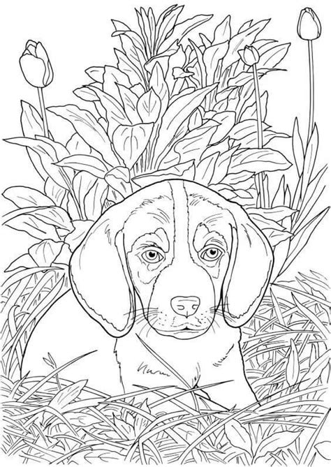printable cute dog coloring pages