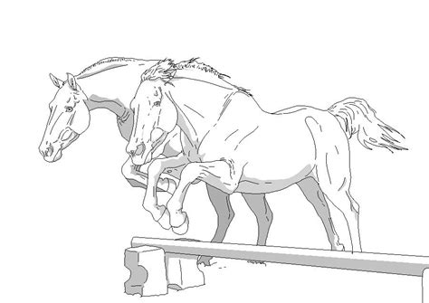 horse lineart horse sketch horse art drawing horse drawings
