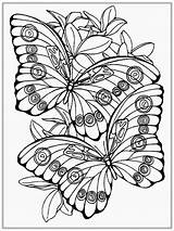 Butterfly Coloring Pages Adult Butterflies Flowers Printable Color Sheets Cool Animal Kids Choose Board sketch template
