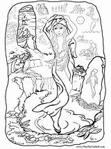 Sirena Zeemeermin Selkie Seejungfrau Malvorlage Pheemcfaddell Große sketch template