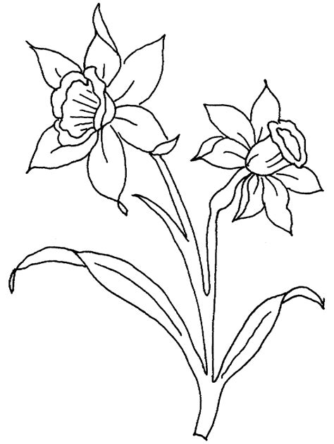plants  flowers coloring pages primarygamescom daffodil color