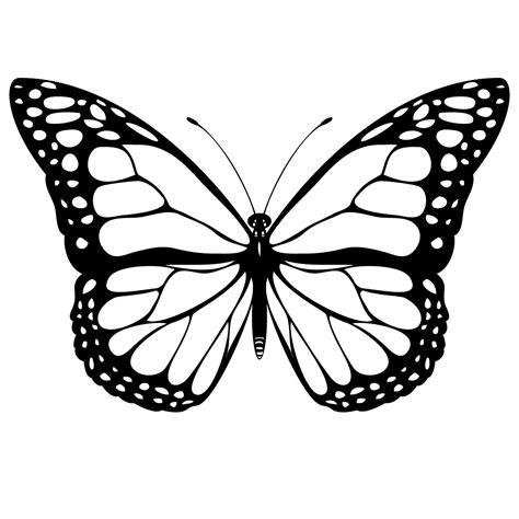 butterfly shapes printable templates  coloring pages clipart