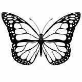 Butterfly Coloring Pages Print Kids Butterflies Printable Para Schmetterling Colour Book Tattoo Monarch Drawing Mariposa Mariposas Colorear Color бабочки Borboleta sketch template