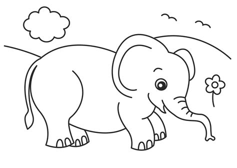 baby elephant coloring pages    print