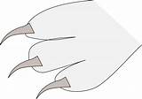 Claws Openclipart Claw Beak sketch template