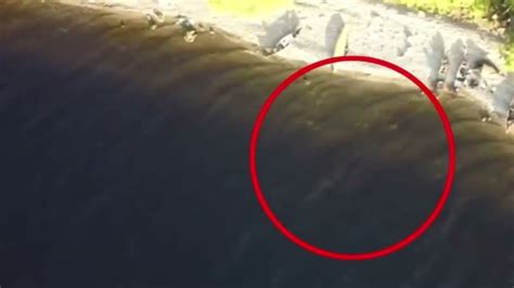 loch ness monster caught  drone footage  camper september