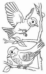 Vogel Vogels Malvorlage sketch template