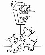 Cachorros Gaiola Colorir Katze Ausmalbilder Imprimir Tudodesenhos Hamsters Cage sketch template