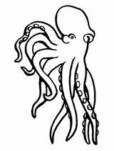 Octopus Coloring Pages Mollusc Supercoloring Printable Drawing Clipart sketch template