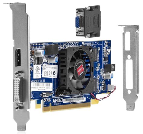 hp video graphics card