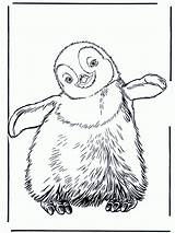 Pinguin Penguins Pinguini Ausmalbild Ausmalen Pinguine Pingouin Malvorlage Bonheur Colouring Kleurplaat Bestcoloringpagesforkids Kleurplaten Petits Jetztmalen Zoo Fargelegg Pinguino Erick Advertentie sketch template