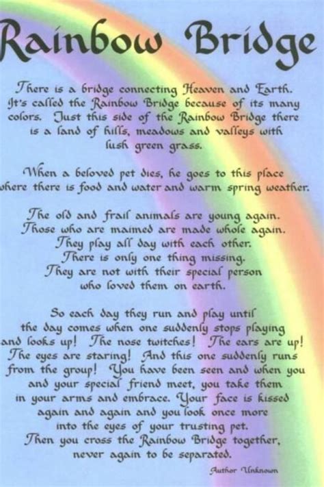 rainbow bridge poem printable  customize  print