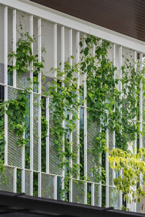 begruente fassade designer haus moderne architektur gitter