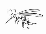 Colorear Mosquito Zancudos Dengue Mosquitoes Insectos Zancudo Conmishijos Imagui Mosquitos Puntos Tablero Hace sketch template