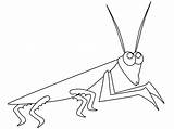 Mantis Praying Coloring Pages Insect Colouring Popular Clip Library Clipart Coloringhome Book Line sketch template