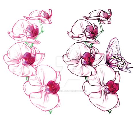 orchid tattoo design by kuroshiro san on deviantart