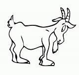 Cabra Cabras Pintar Chivas Montesa Granja Capra Goat Ovejas Cerdos Vacas sketch template