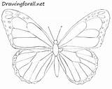 Drawingforall Sketch Tutorial Motyl Kolorowanka Stencil sketch template