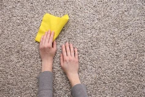 easy hacks    human urine   carpet