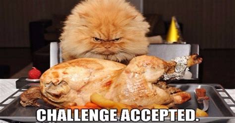 25 hilarious thanksgiving memes that will make you giggle