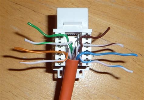 cat module wiring diagram wiring diagram  schematics