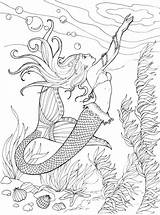 Mermaids Sirenas Sirene Dover Fairy Haven Everfreecoloring Dragonflytreasure sketch template