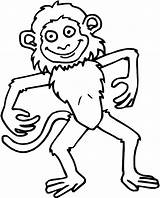Apen Kleurplaten Rigolo Singe Drole Kleurplaat Amusant Macaco Dieren Colorir Coloriages Desenhos Singes Animaux Macacos Affen Divertindo Imprimer Aap Animierte sketch template