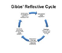 reflective essay  gibbs reflective cycle   writer