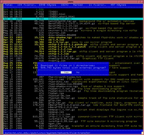 windows linux xterm nftp screen