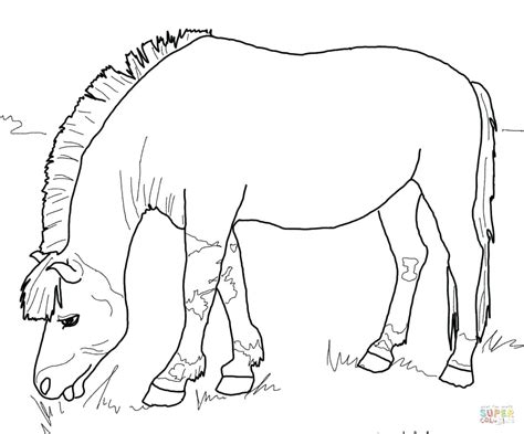 rearing horse coloring pages  getcoloringscom  printable