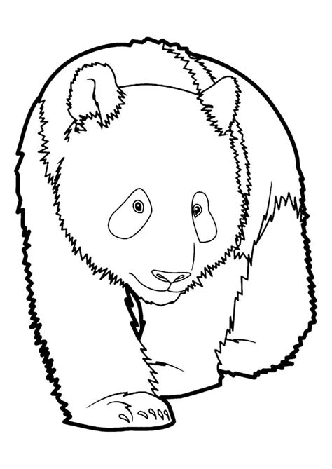 panda coloring pages   print