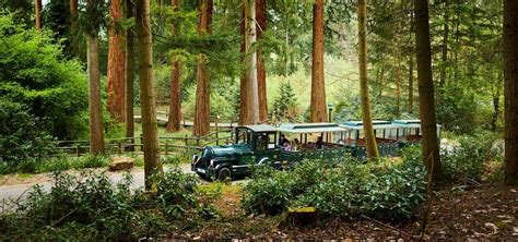 longleat forest breaks wiltshire holidays center parcs