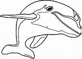 Dolphin Wecoloringpage sketch template