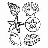 Clam Shell Coloring Drawing Colouring Pages Getdrawings Clip sketch template