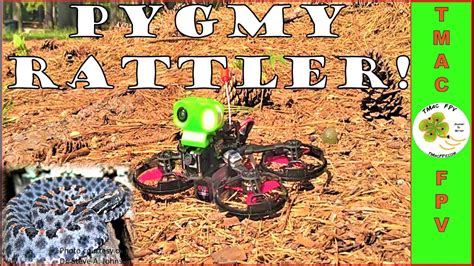 micro fpv drone build pygmy rattler youtube