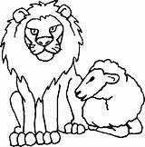 Coloring Lamb Lion Color Book Printout Instructions Then Print sketch template