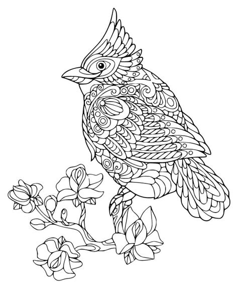cardinal bird zentangle coloring page  printable coloring pages
